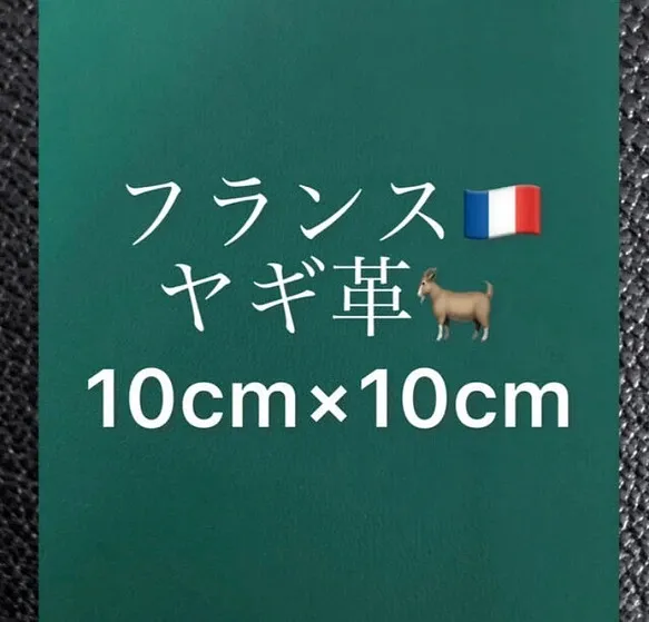 フランス産ヤギ革 グリーン 約10cm×約10cm